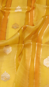 Pre-Order : Rangkaat Kora Silk Saree