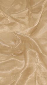 Moonlight Tissue Silk Saree