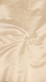 Moonlight Tissue Silk Saree