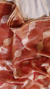 Rust Red Pure Tissue Silk Handloom Saree with Silver & Golden Zari Leaf Shaped