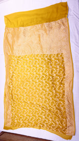 Handloom Khaddi Georgette Saree