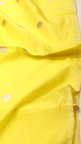 Handloom Pure Banarasi Cotton Saree