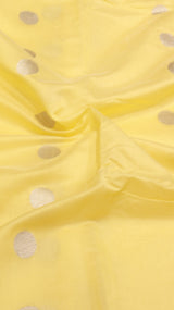 Handloom Pure Banarasi Cotton Saree