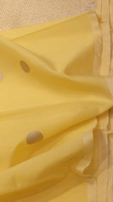 Handloom Pure Banarasi Cotton Saree