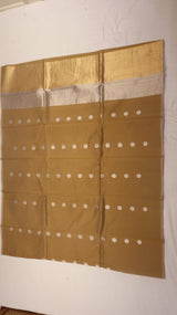 Handloom Pure Banarasi Cotton Saree