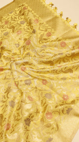 Pure Cotton Suit Set