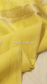 Handloom Pure Cotton Saree