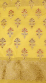 Pure Cotton Suit Set