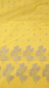 Pure Cotton Suit Set