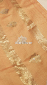 Handloom Pure Cotton Saree