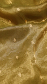 Glass Tissue Silk Saree