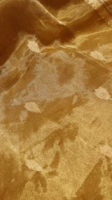 Glass Tissue Silk Saree