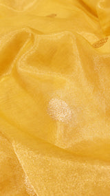 Pre-Order : Handloom Tissue Silk Saree