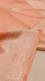 Pre-Order : Handloom Pure Soft Katan Saree