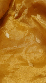 Glass Tissue Silk Saree