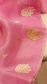 Pre-Order : Pure Handloom Kora Silk Saree