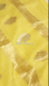 Handloom Pure Cotton Saree