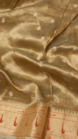 Tissue Silk Saree with Meenakari Work