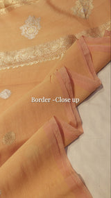 Handloom Pure Cotton Saree