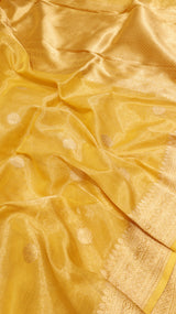 Pre-Order : Handloom Tissue Silk Saree