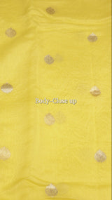 Handloom Pure Cotton Saree