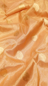 Pure Tissue Banarasi Saree - Satin Border