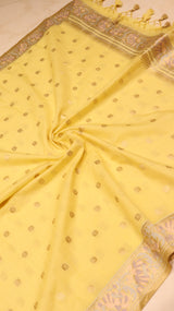 Tilfi Pure Cotton Suit Set