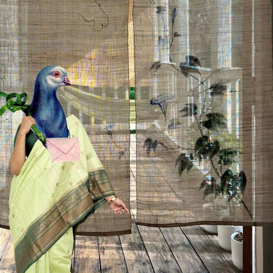 Your Ultimate Moonga Silk Shopping Guide: Everything You Need to Know