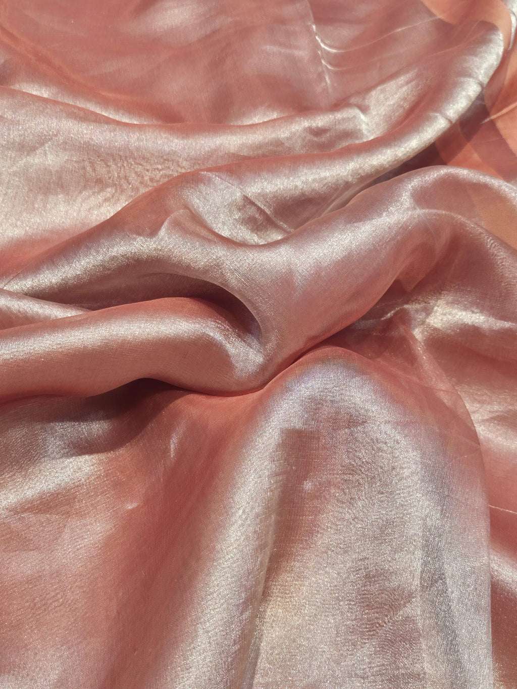 Coffee Brown Tissue Silk Banarasi saree border closeup
