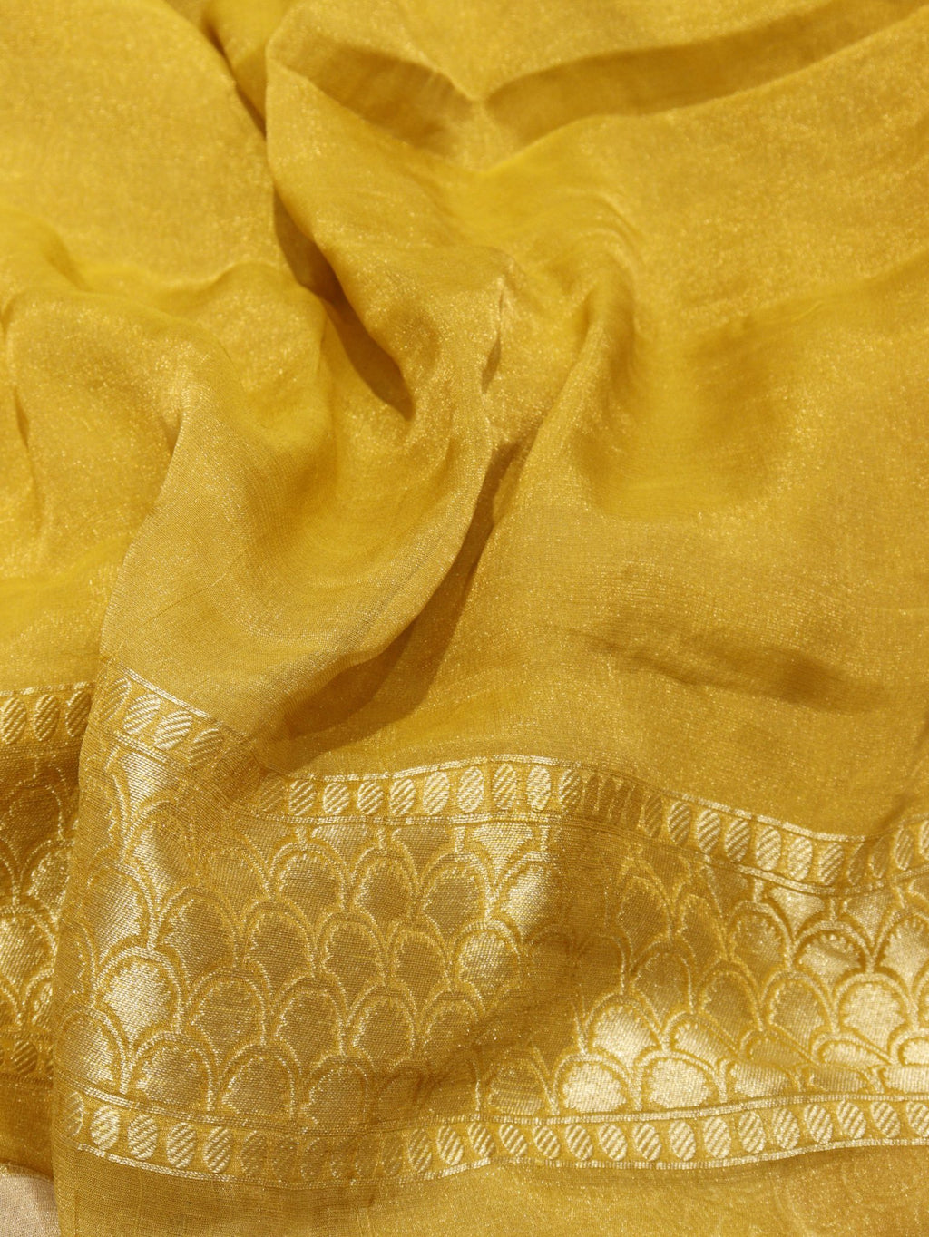Green Pure Georgette Tissue Silk Banarasi saree texture detail