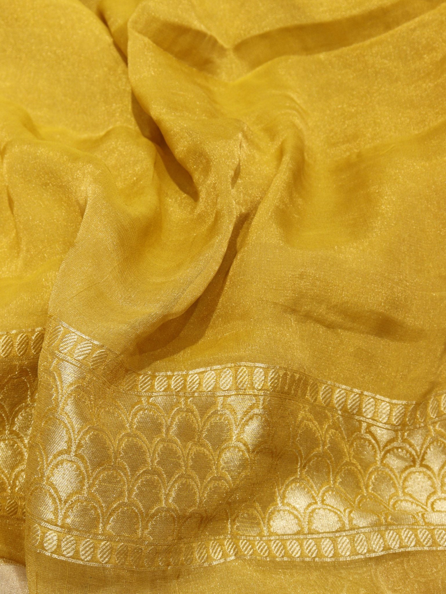 Green Pure Georgette Tissue Silk Banarasi saree texture detail