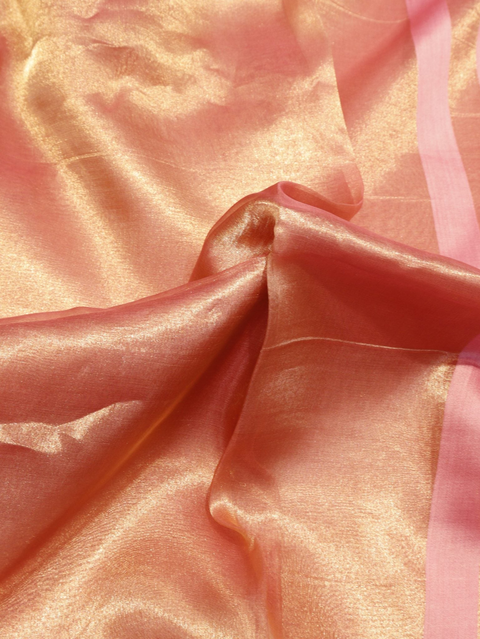 Rose Gold Tissue Silk Banarasi saree border closeup