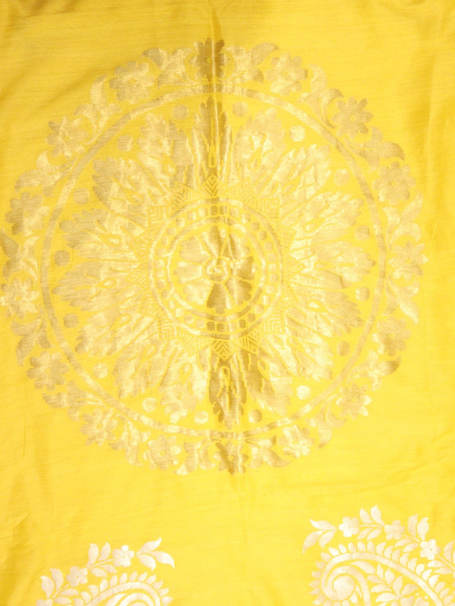 Yellow Moonga Silk Banarasi saree front drape view