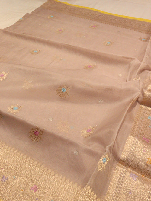 Milk Coffee Kora Silk Banarasi saree border closeup