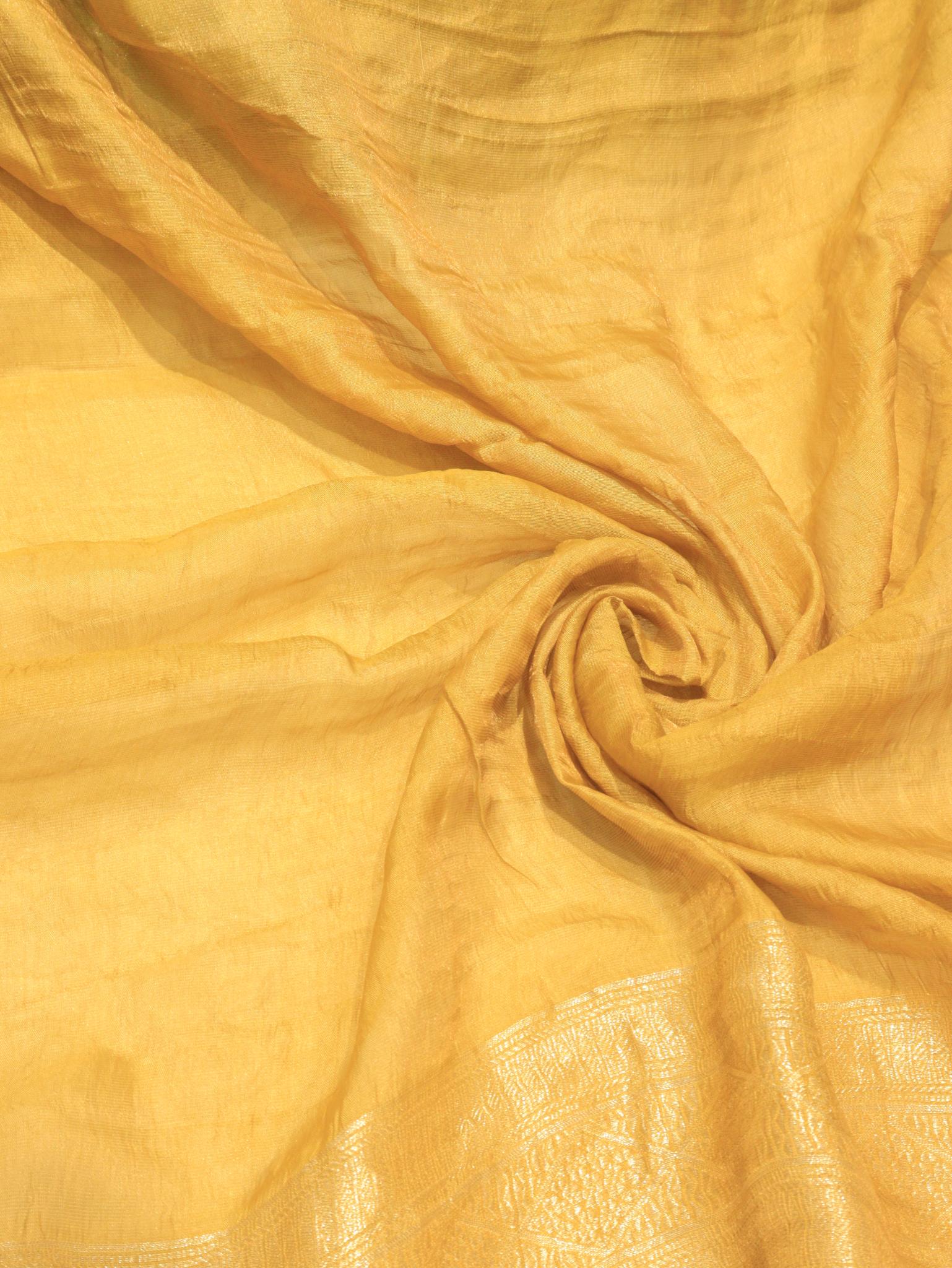 Sage Green Tissue Georgette Banarasi saree full spread