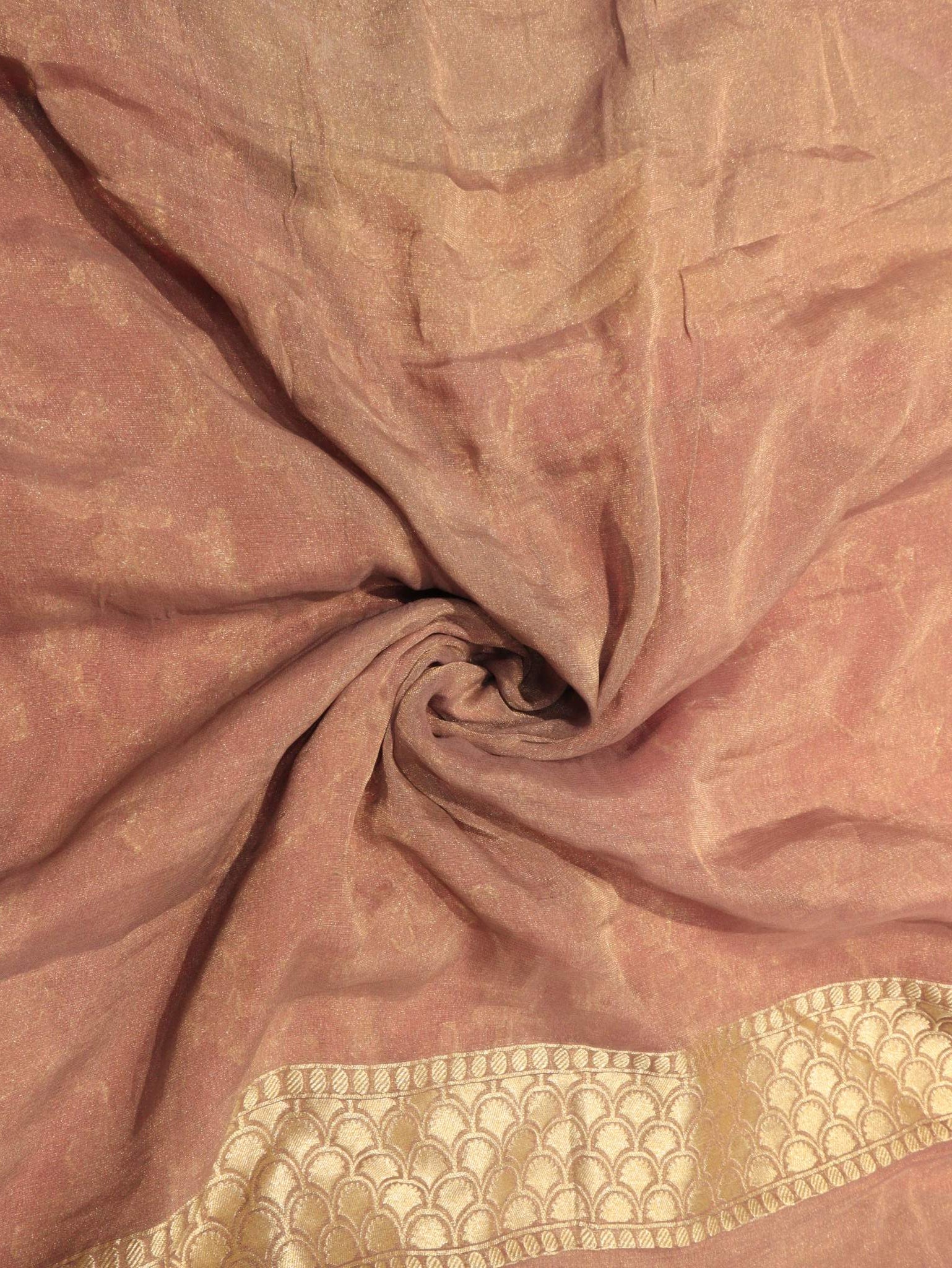 Dusty Rose Tissue Georgette Banarasi saree full spread