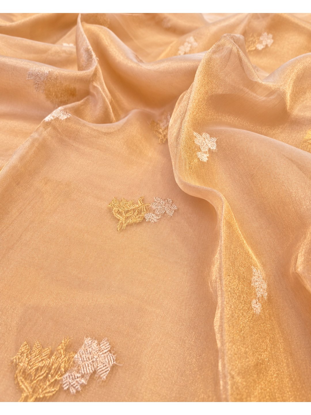 Gold Tissue Silk Banarasi saree pallu detail