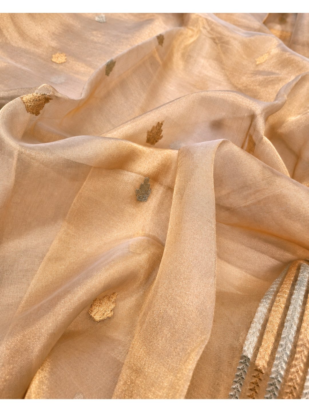 Gold Tissue Silk Banarasi saree pallu detail