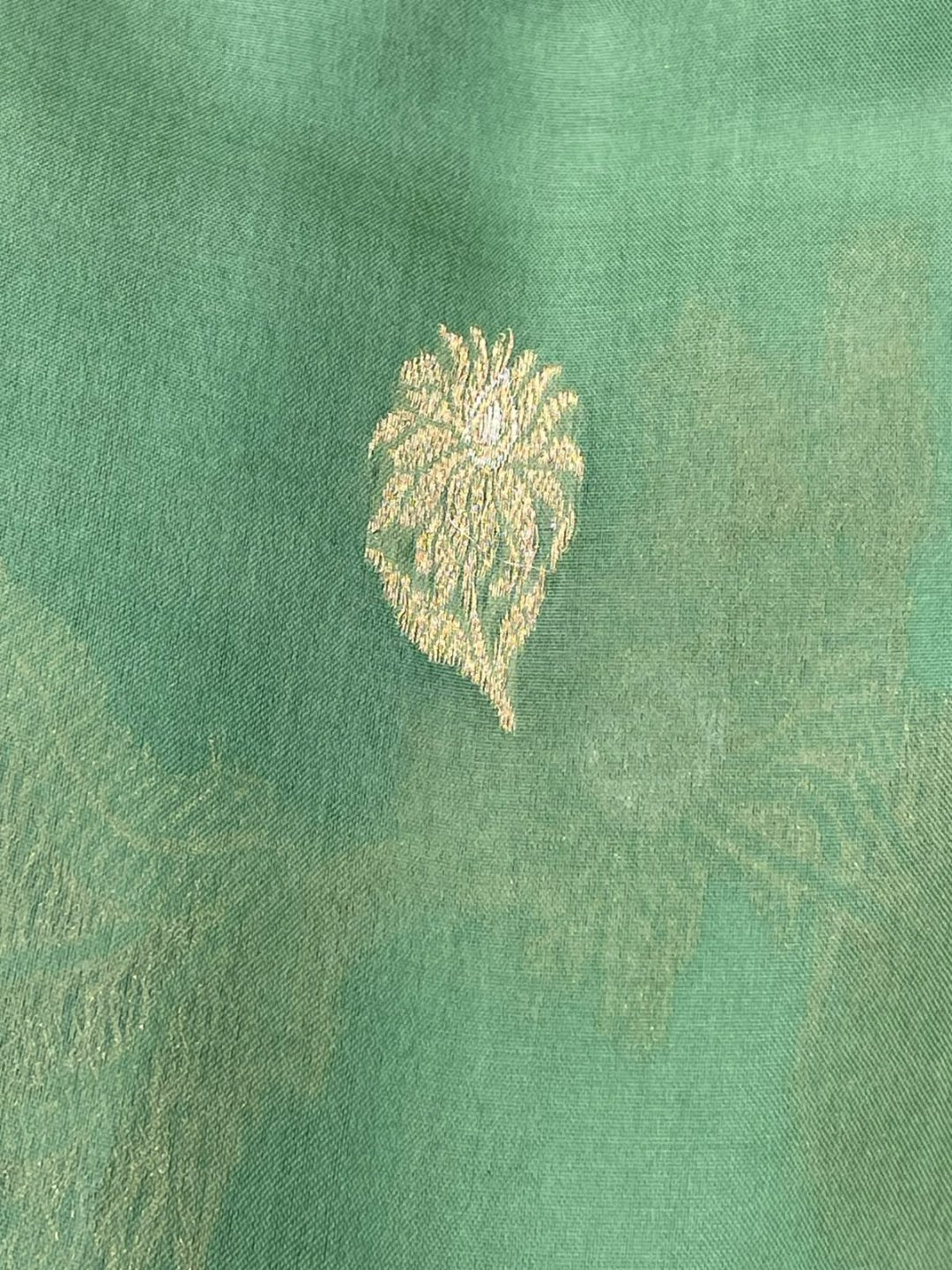 light green Kora Silk Banarasi saree full spread