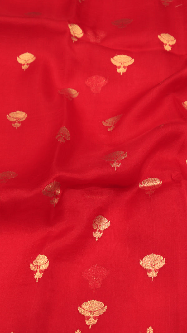 Handloom Pure Kora Silk Saree