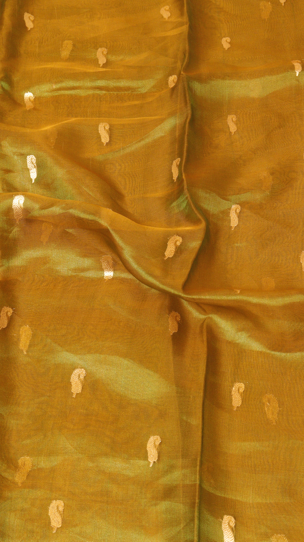Mustard Gold Pure Tissue Silk Handloom Saree with Stripe Blouse