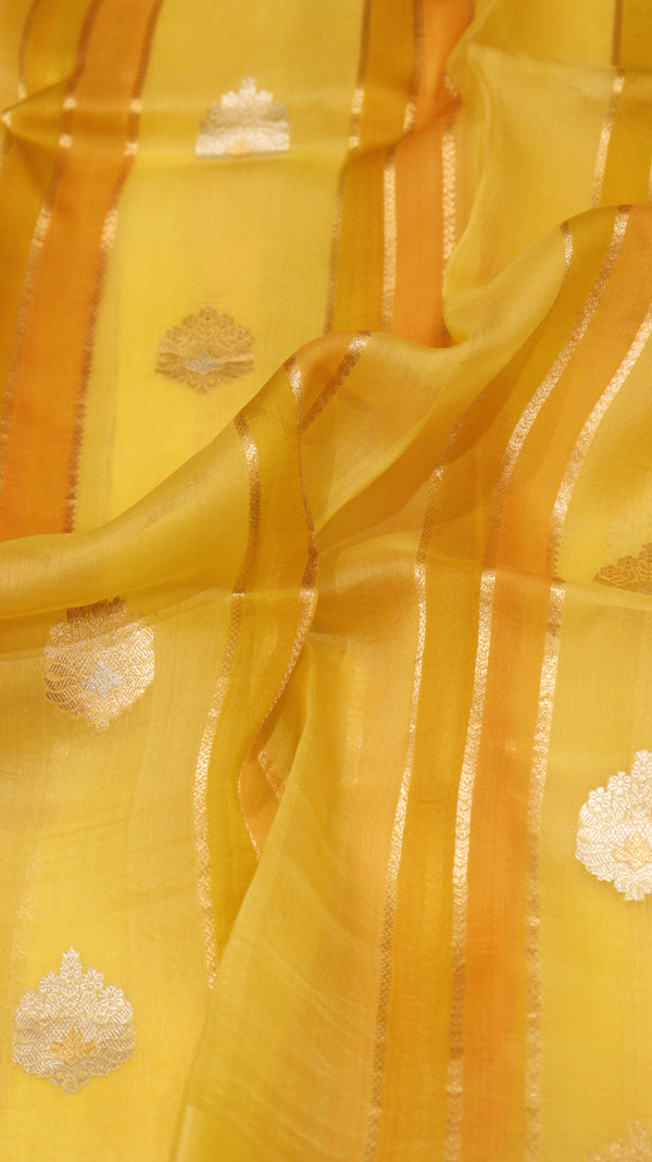 Rangkaat Kora Silk Saree