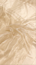 Moonlight Tissue Silk Saree
