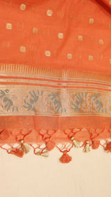 Pure Cotton Tilfi Suit Set
