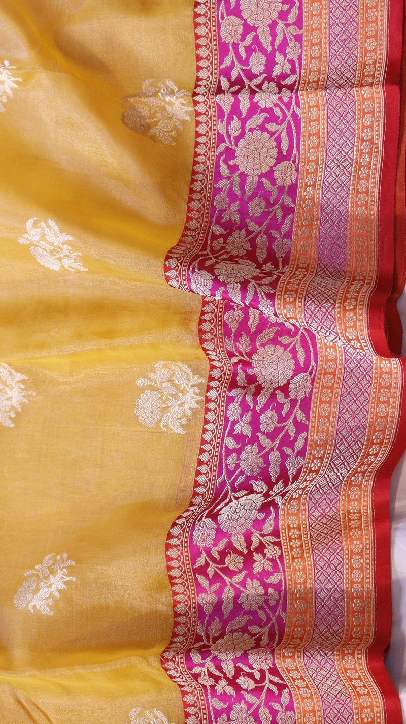 Yellow Pure Tissue Silk Handloom Saree with Katan Silk Contrast Border