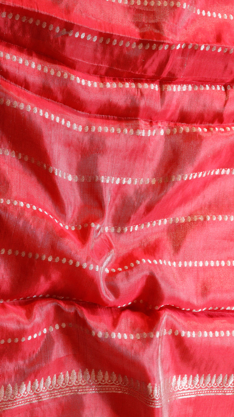 Yellow Pure Tissue Silk Handloom Saree with Katan Silk Contrast Border