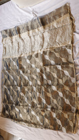 Black Pure Tissue Silk Handloom Saree with Silver & Golden Zari Leaf Shaped