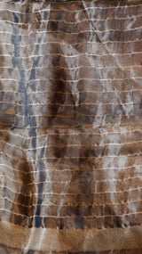 Black Pure Tissue Silk Handloom Saree with Silver & Golden Zari Leaf Shaped