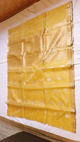 Handloom Pure Tissue Silk Saree