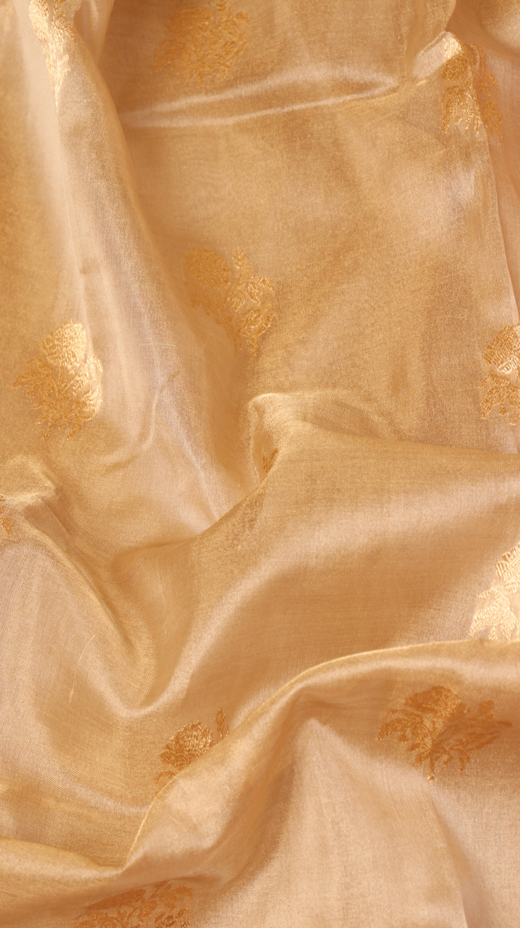 Pre-Order : Gold Pure Tissue Silk Handloom Saree with Contrast Border